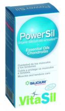 Tube de gel Powersil 225 ml