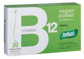 Complexe Vitamines B12 20 Comprimés