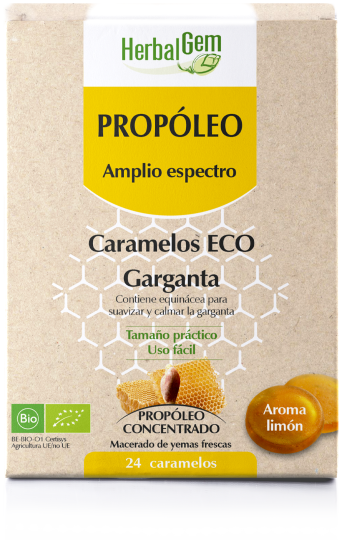 Propolis large spectre Bio 24 unités