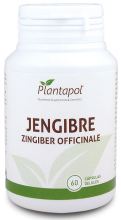 Gingembre 60 Gélules 500 mg