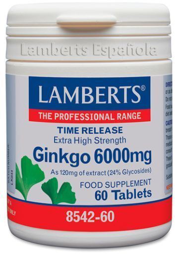 Ginkgo Biloba extra fort 6.000 mg