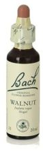 Bach 33 Walnut 20 ml