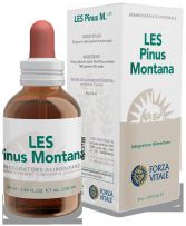 Les dendroctone du pin Pinus Montana 50ml.