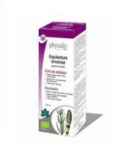 Extrait Equisetum Bio 100 ml