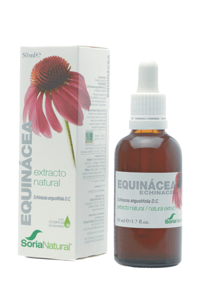 Extrait d&#39;Echinacea Glycerine 50Ml