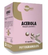 Acérola Vitamine C 45 Gélules