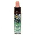 Plantis Nº 6 Estime de soi 10 ml