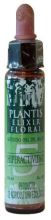 Plantis Nº 5 Hyperactivité 10 ml