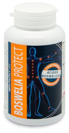 Protéger Boswellia 500mg. 45 Perles