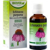 Echinacea purpurea (échinacée) Tm 50ml.