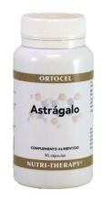 Astragale 400 mg 90 gélules