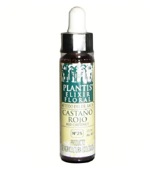 Châtaignier Rouge Plantis Nº 25 10 ml