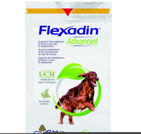 Flexadin Advance Bw Chien