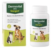 Dermovital Zinc 60 comprimés