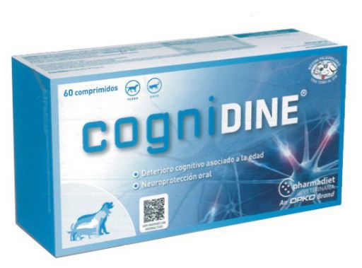 Cognidine 60 comprimés