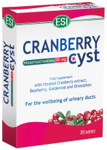 Cranberry kyste (Nocyst) 30comp.