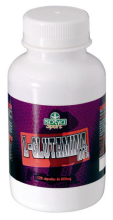 L-glutamine 800 mg 120 Capsules