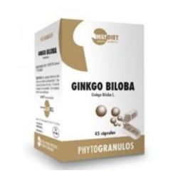 Ginkgo Biloba ERGOSPHERE 45Cap.