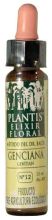 Gentiane Plantis No.12 10 ml