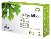 Ginkgo Biloba 60 Gélules