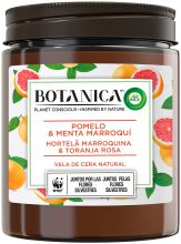 Bougie aromatique de cire naturelle Pamplemousse et menthe marocaine 205 gr